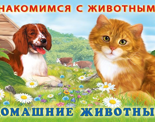 Фламинго Знакомимся с животными Домашние животные