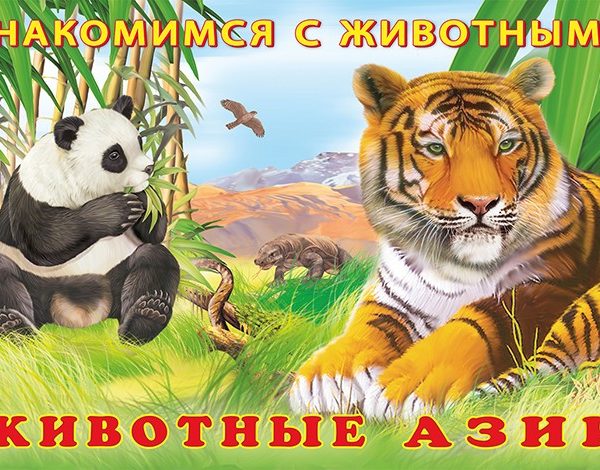 Фламинго Знакомимся с животными Животные Азии