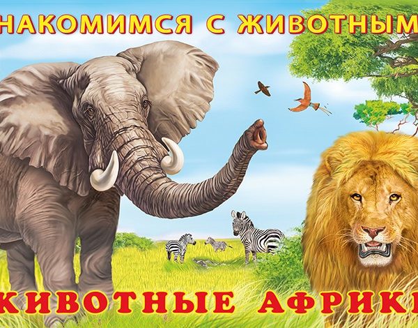 Фламинго Знакомимся с животными Животные Африки