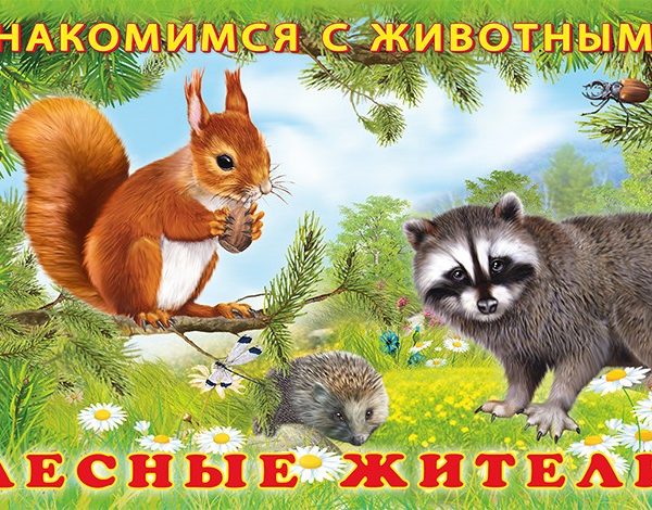 Фламинго Знакомимся с животными Лесные жители