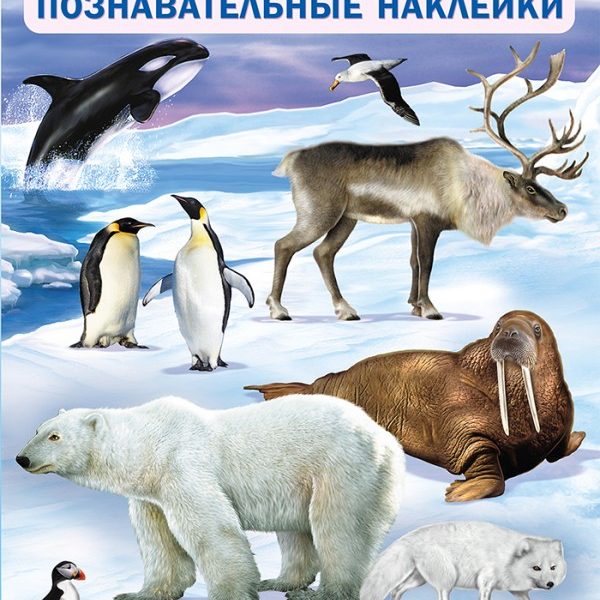 Фламинго Многоразовые наклейки Кто живет на полюсе
