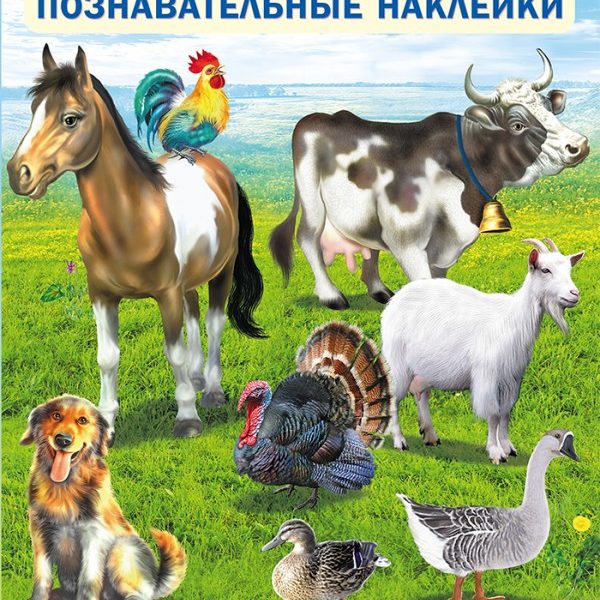 Фламинго Многоразовые наклейки Кто живет на ферме