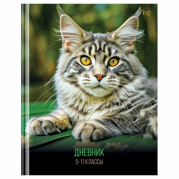 Дневник 5-11кл тв Кот БД