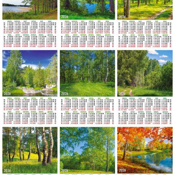 ПлакатА3 2026ВЭДЭМ Природа