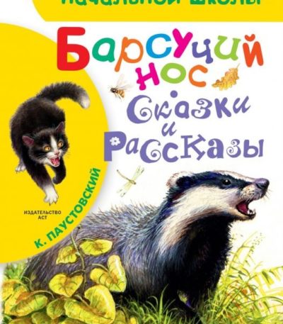 БибНачШколы Барсучий нос