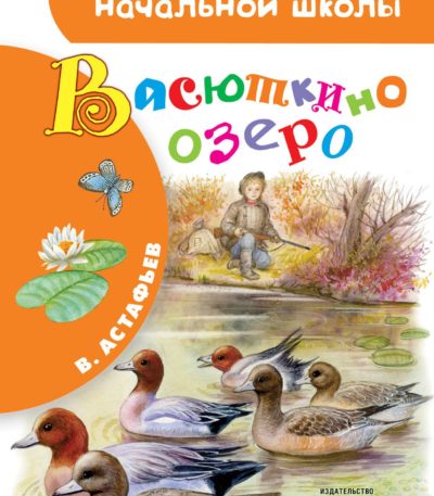 БибНачШколы Васюткино озеро