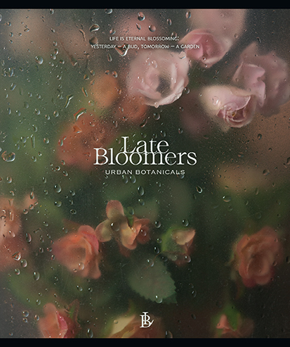 late_bloomers_ii