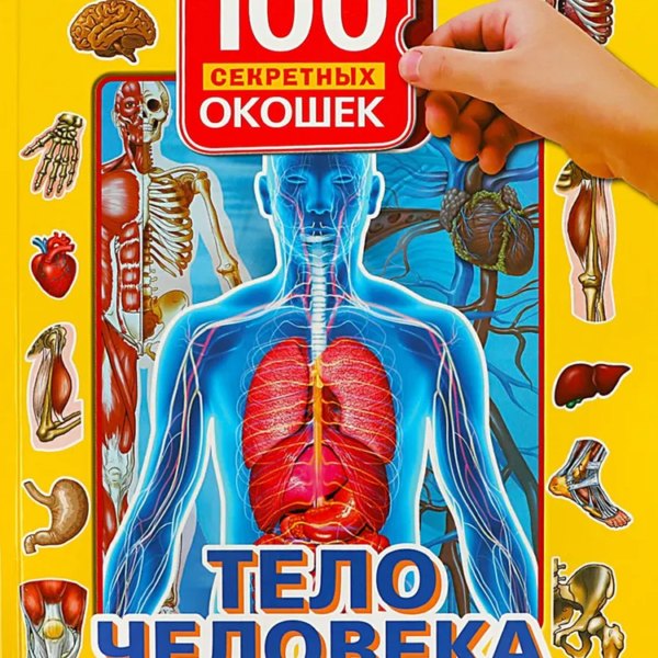 Умка 100 секретных окошек Тело человека
