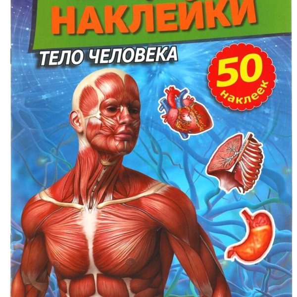 Умка Многораз накл Тело человека 50 накл