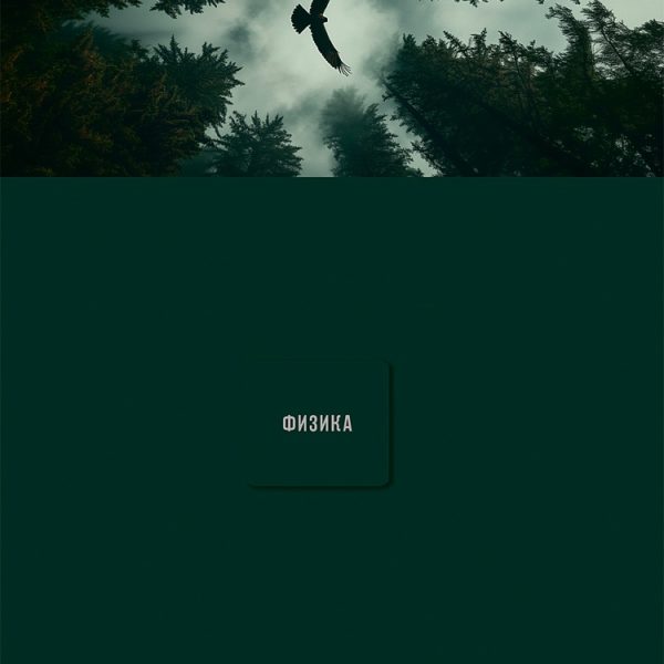 Т48ПРОФПРЕДМЕТКА Nature Физика