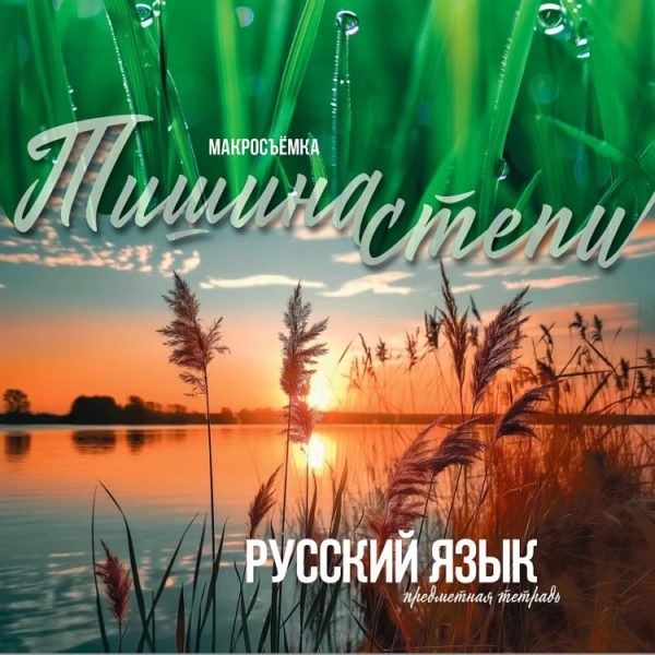 Т36ПРОФПРЕДМЕТКА МирВокруг Русский язык